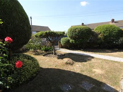 Picture 15